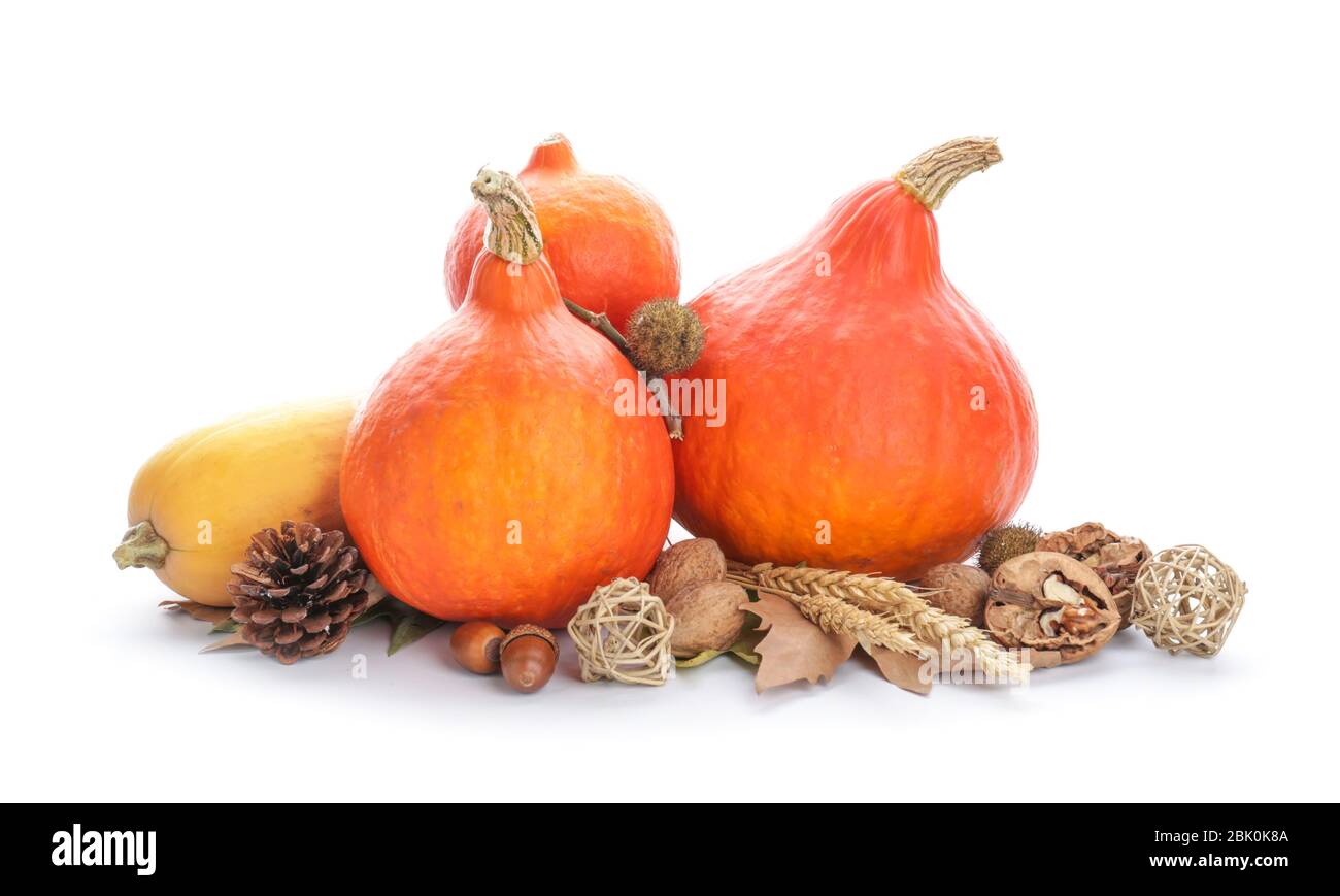 Autumn composition with fresh pumpkins on white background Stock Photo ...