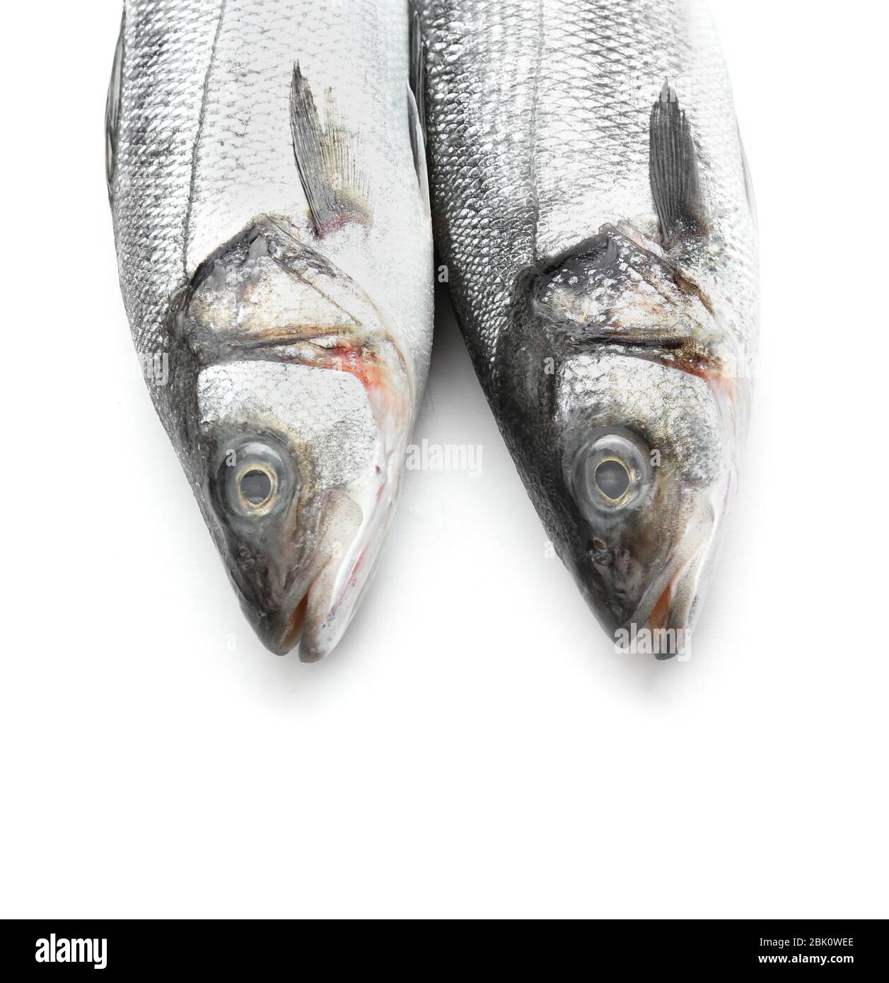 Fresh seabass fish on white background Stock Photo - Alamy