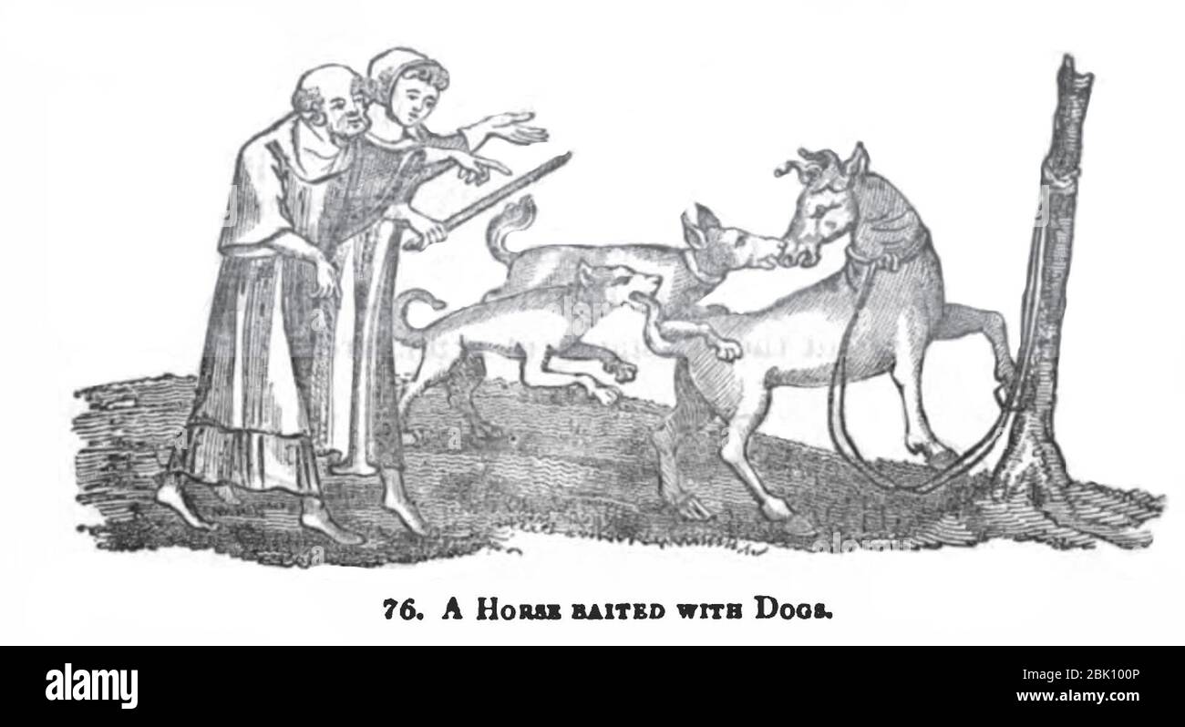 Horse Baited with Dogs (Joseph Strutt). Stock Photo