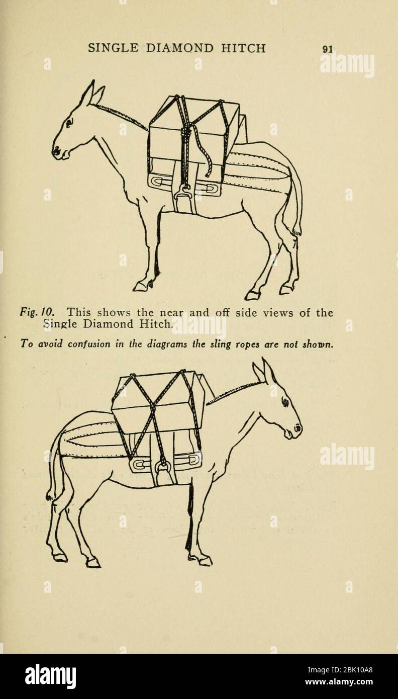 Horse packing (Page 91 Stock Photo - Alamy