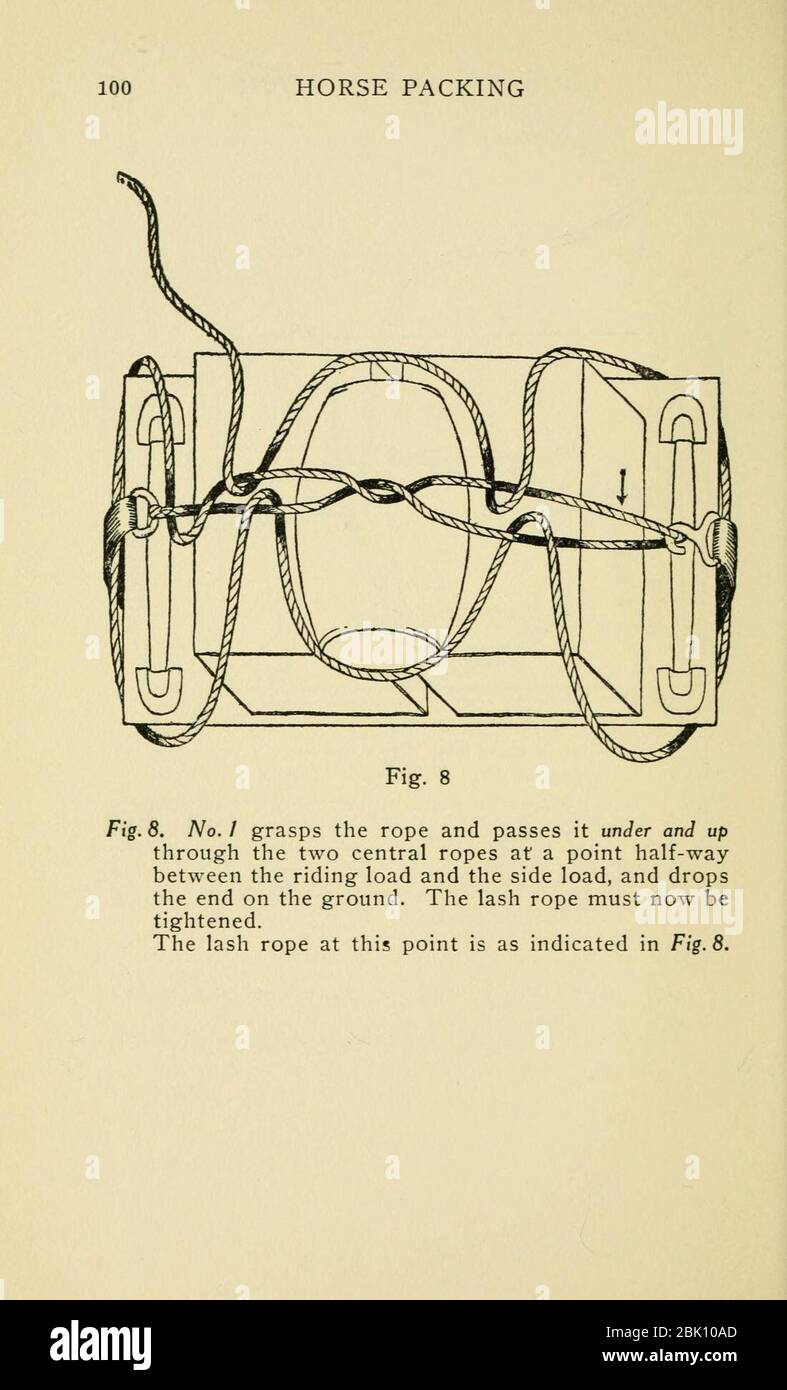 Horse packing (Page 100 Stock Photo Alamy