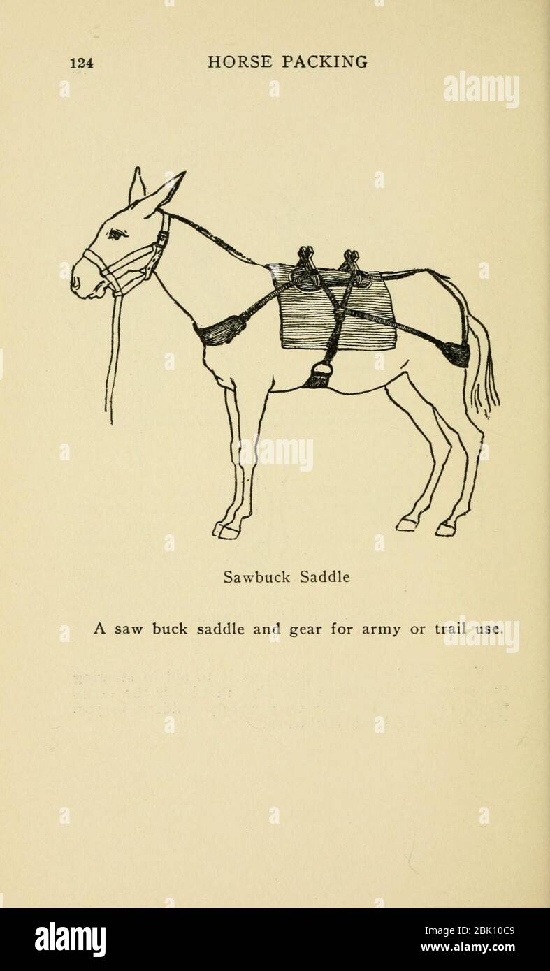 Horse packing (Page 124 Stock Photo - Alamy