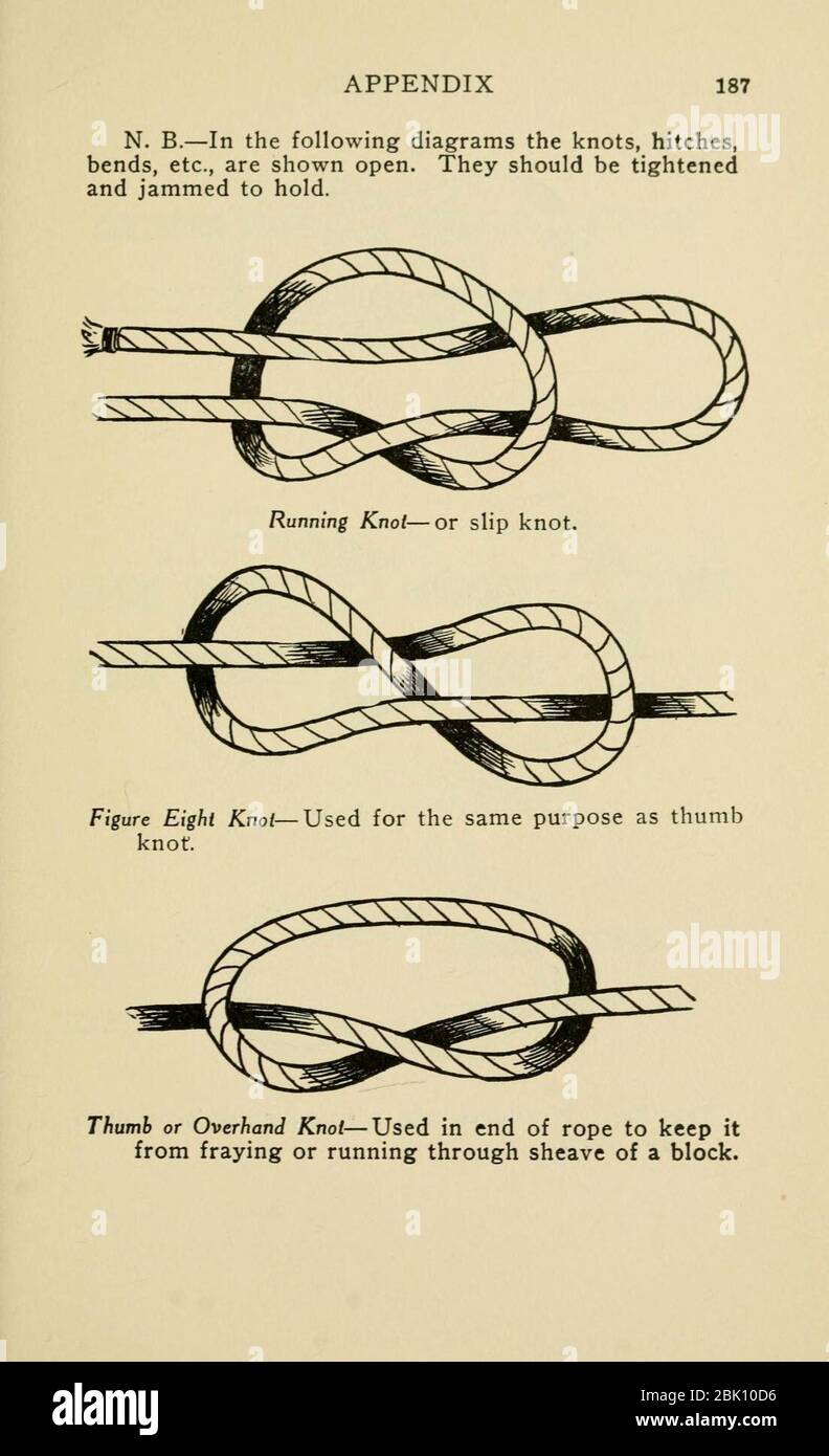 Horse packing (Page 187 Stock Photo Alamy