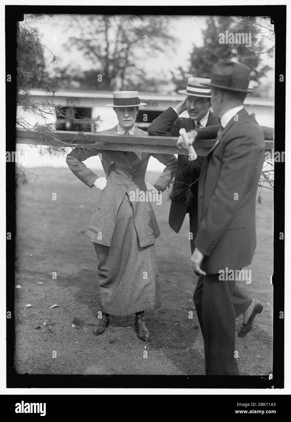 HORSE SHOWS. MRS. C.A. MUNN Stock Photo Alamy