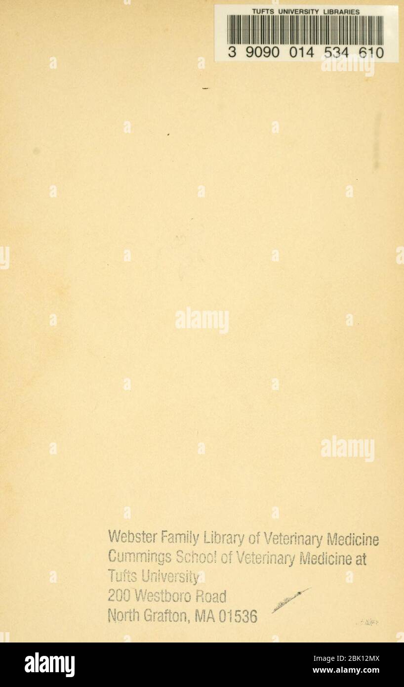 Horses, guns and dogs Stock Photo Alamy