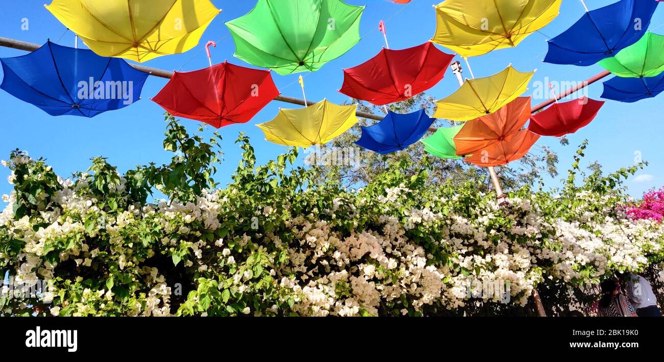 Hanging umbrella hires stock photography and images Alamy