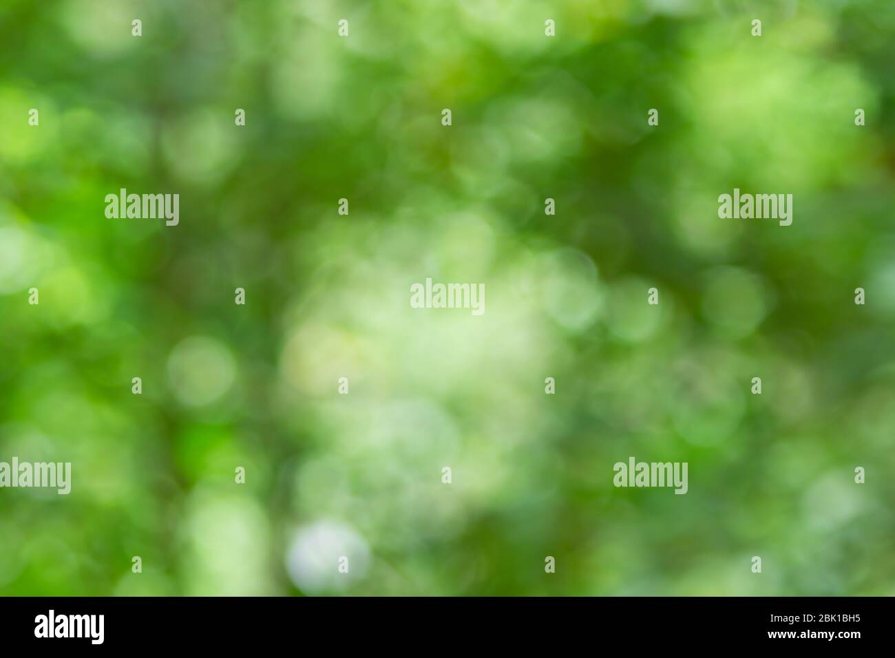 Abstract green blured color gradient background hi-res stock ...