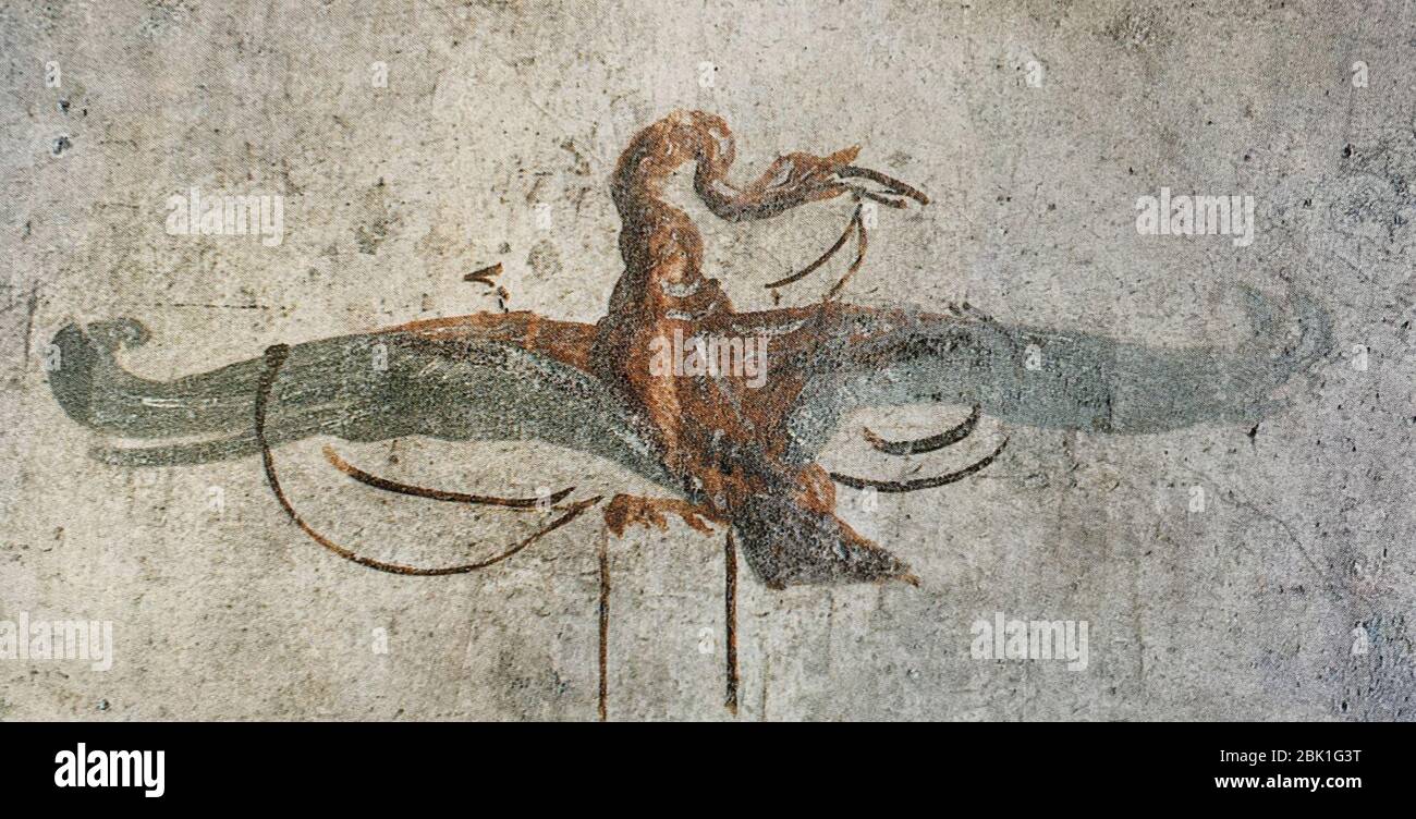 House of the Prince of Naples in Pompeii Plate 138 Cubiculum f Emblem on East Wall MH. Stock Photo