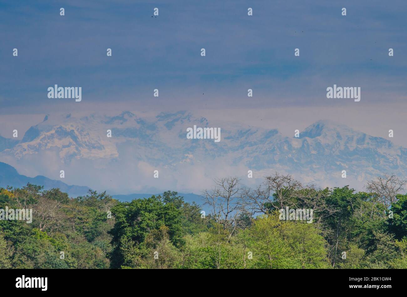 perfect view point , is have tree , village, stream , fresh air for ...