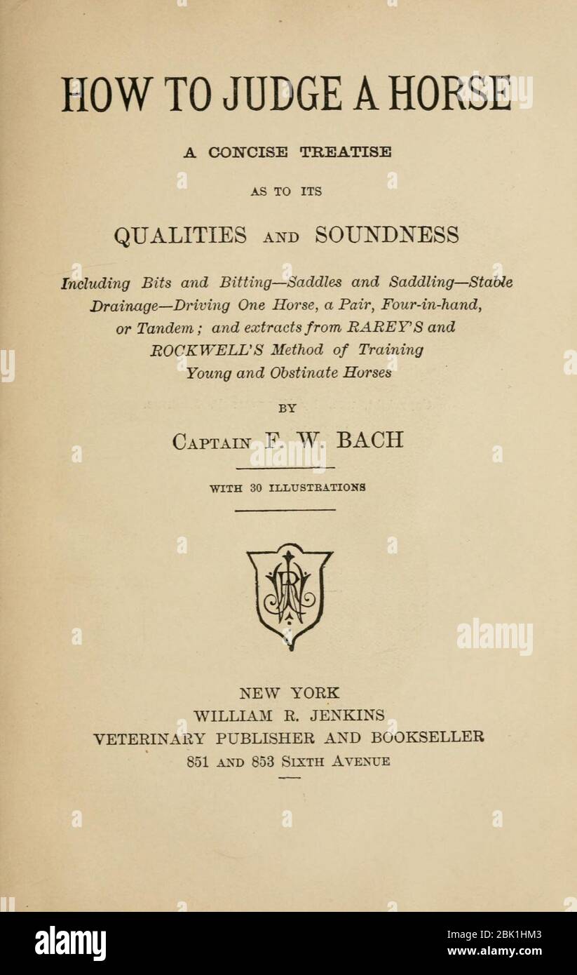 How to judge a horse Stock Photo Alamy