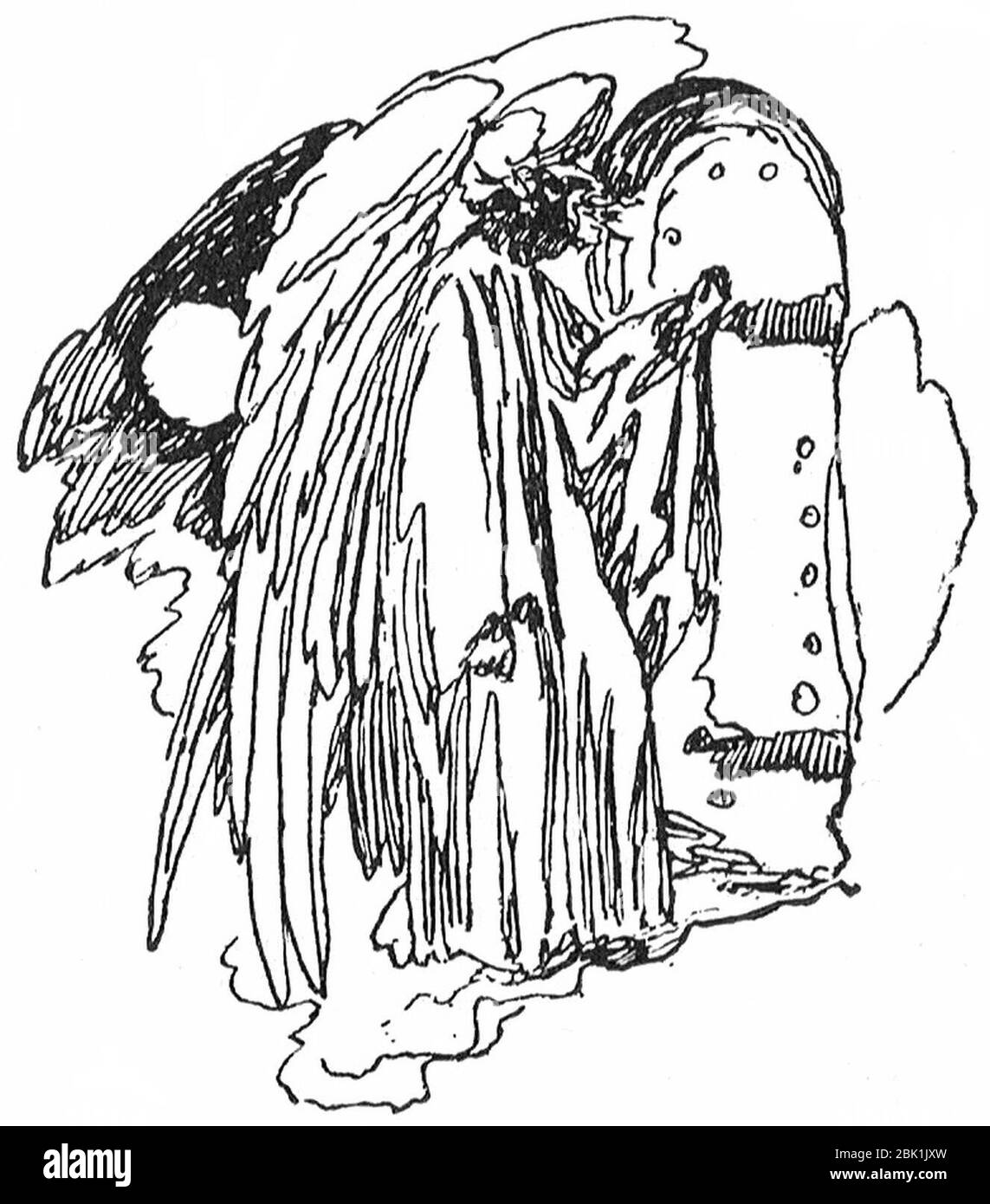 Large c Cut Out Stock Images Pictures Alamy