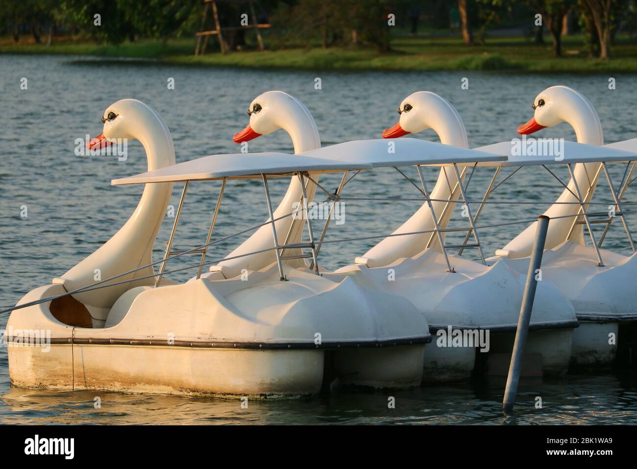 Paddle swan boat hi-res stock photography and images - Page 2 - Alamy
