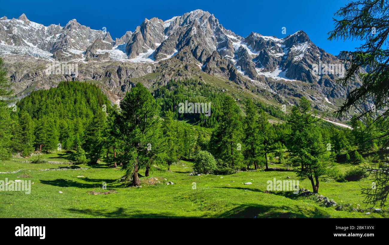 Summer view of Ferret valley and Grandes Jorasses in background, Aosta Valley in summer season Stock Photo