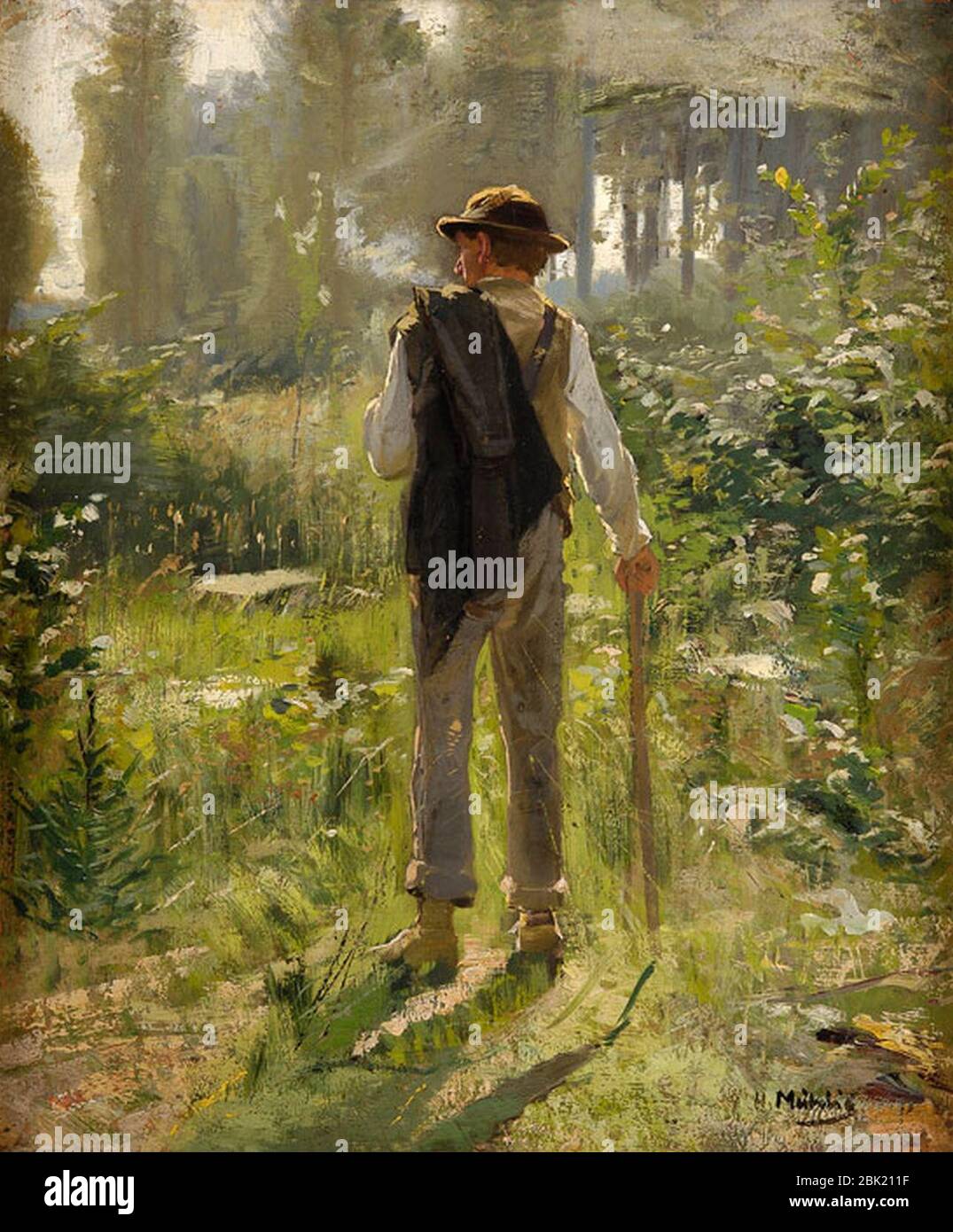 Spaziergang im wald hi-res stock photography and images - Alamy
