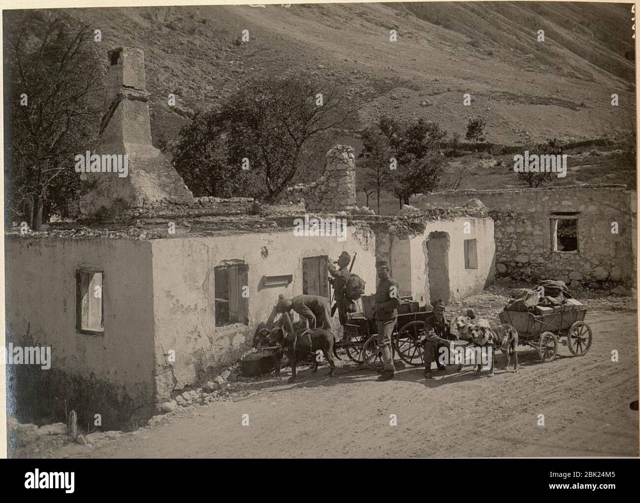 Hundekolonne bei der Tränke. Standpunkt der Aufnahme auf der Strasse von SOCA nach KAL. aufgenommen am 27. Juli 1916. Stock Photo