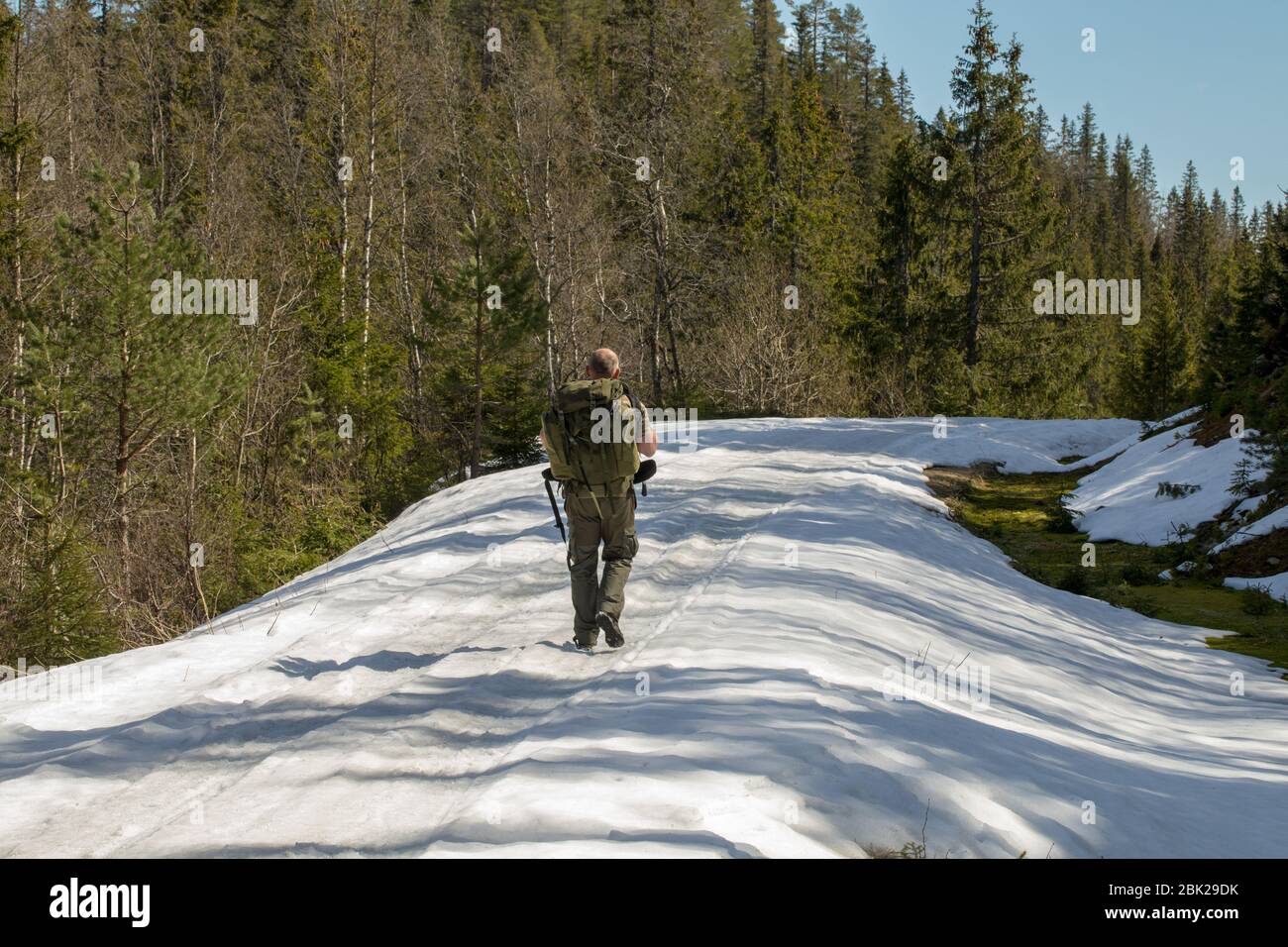 Man with big backpack walks along the snow covered road in spring Stock Photo