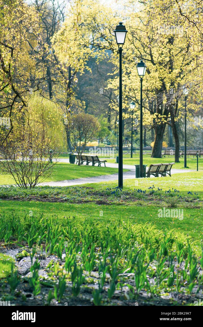 Beautiful park in spring with tulips old street lamps and benches, vertical Stock Photo
