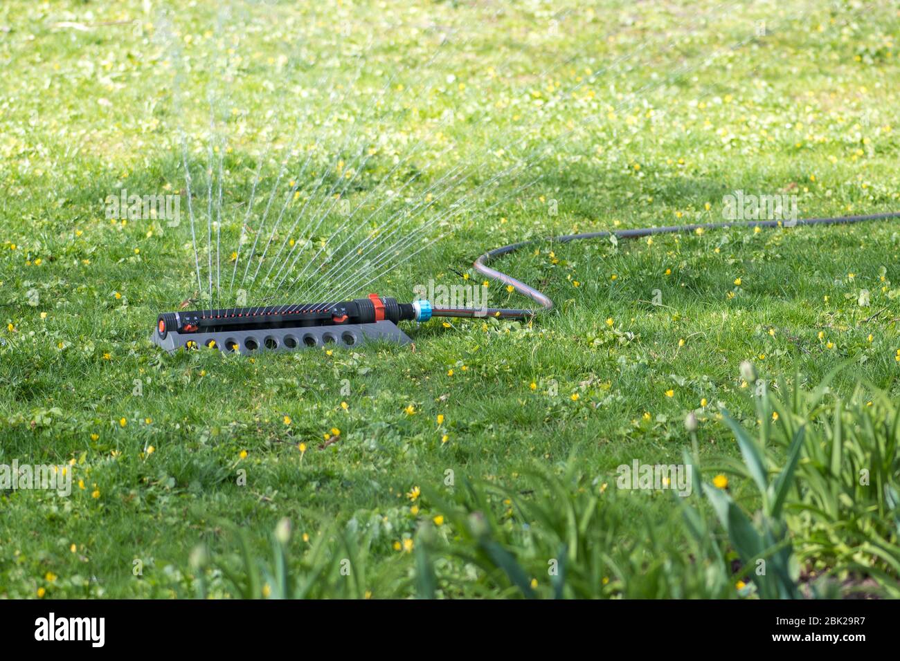 Automatic irrigation system equipment garden watering tool Stock Photo