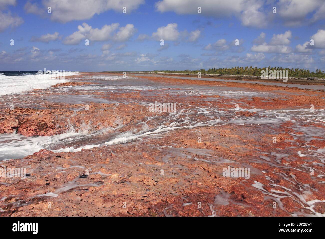 Rangiroa Atoll reef,french polynesia Stock Photo