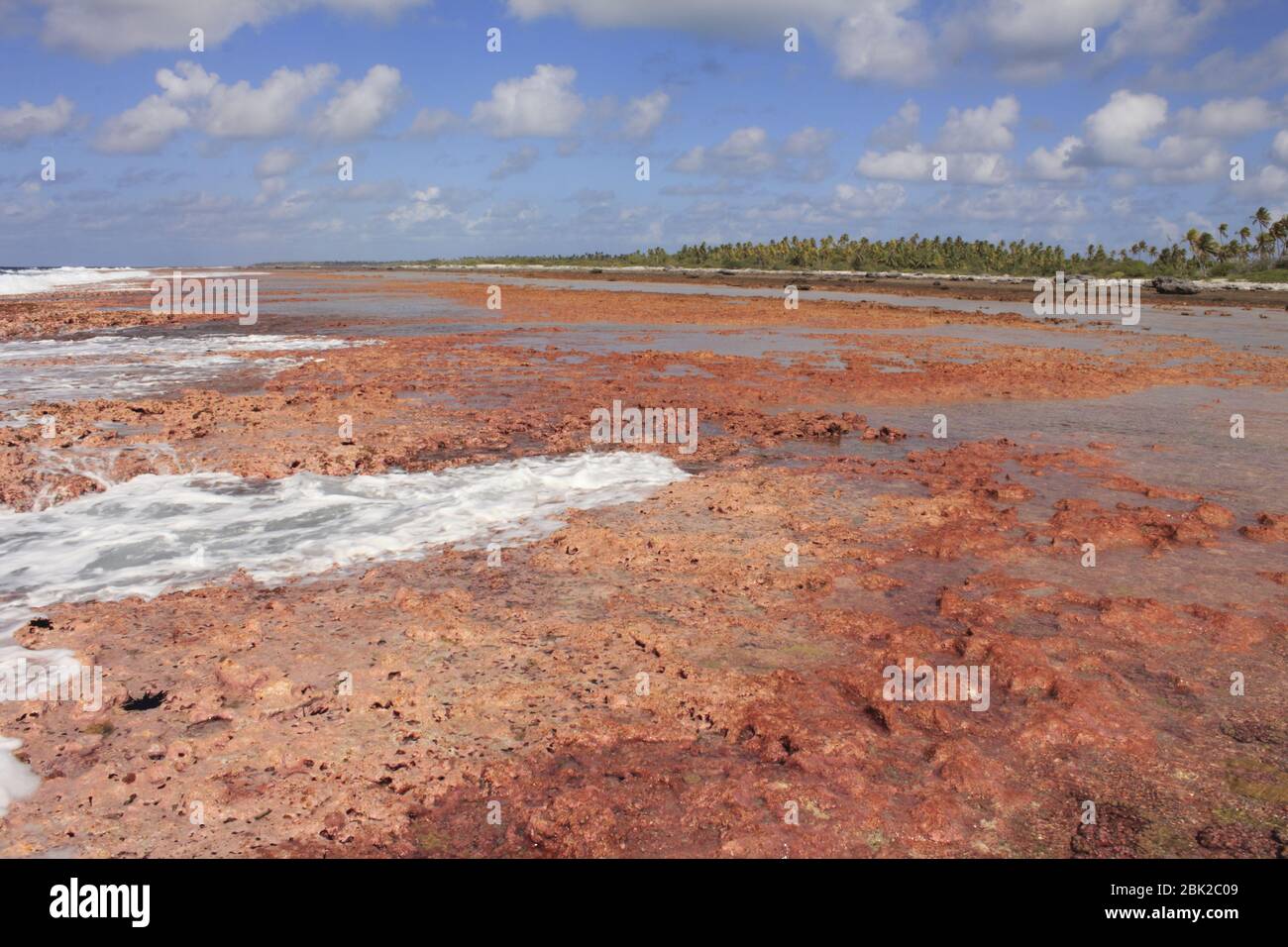 Rangiroa Atoll reef,french polynesia Stock Photo