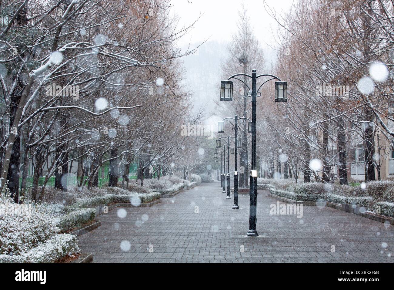 beautiful scenery of the street with streetlamps on snowy day, Bundang-gu, Seongnam-si, Korea Stock Photo