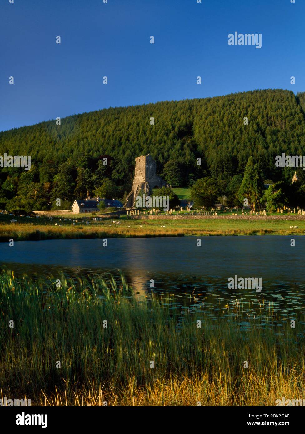 View SW across Talley lake, Carmarthenshire, Wales, UK, to the central tower & other remains of the abbey, with graveyard of St Michael's church to R. Stock Photo