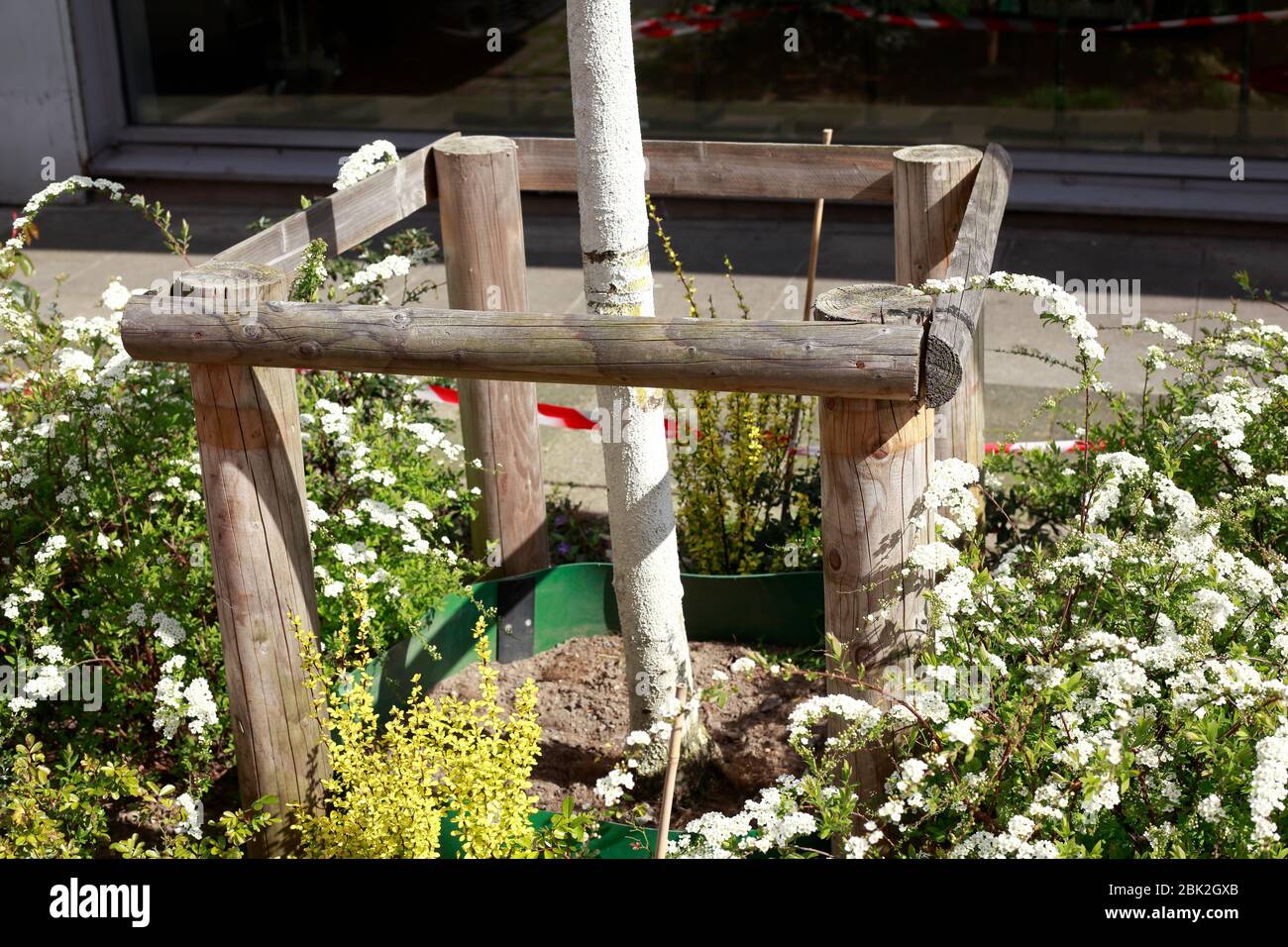 Tree protection made of wood with tree trunk and flowers, Germany ...