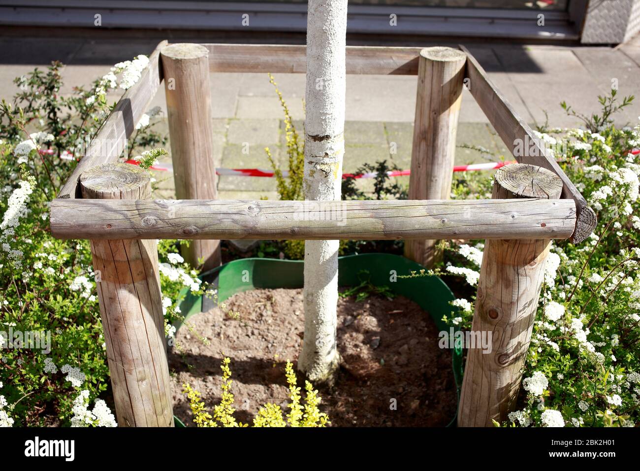 Tree protection made of wood with tree trunk and flowers, Germany ...