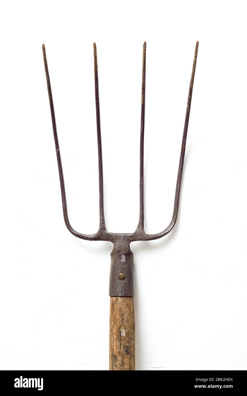ancient hand made garden fork head on white background Stock Photo Alamy