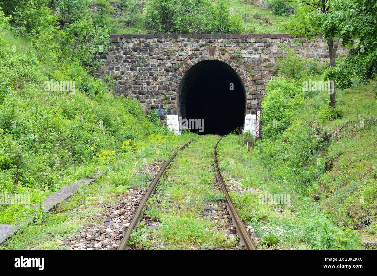 Entrance of old railway tunnel surrounded by lush, green spring vegetation, wet after heavy spring rain Stock Photo