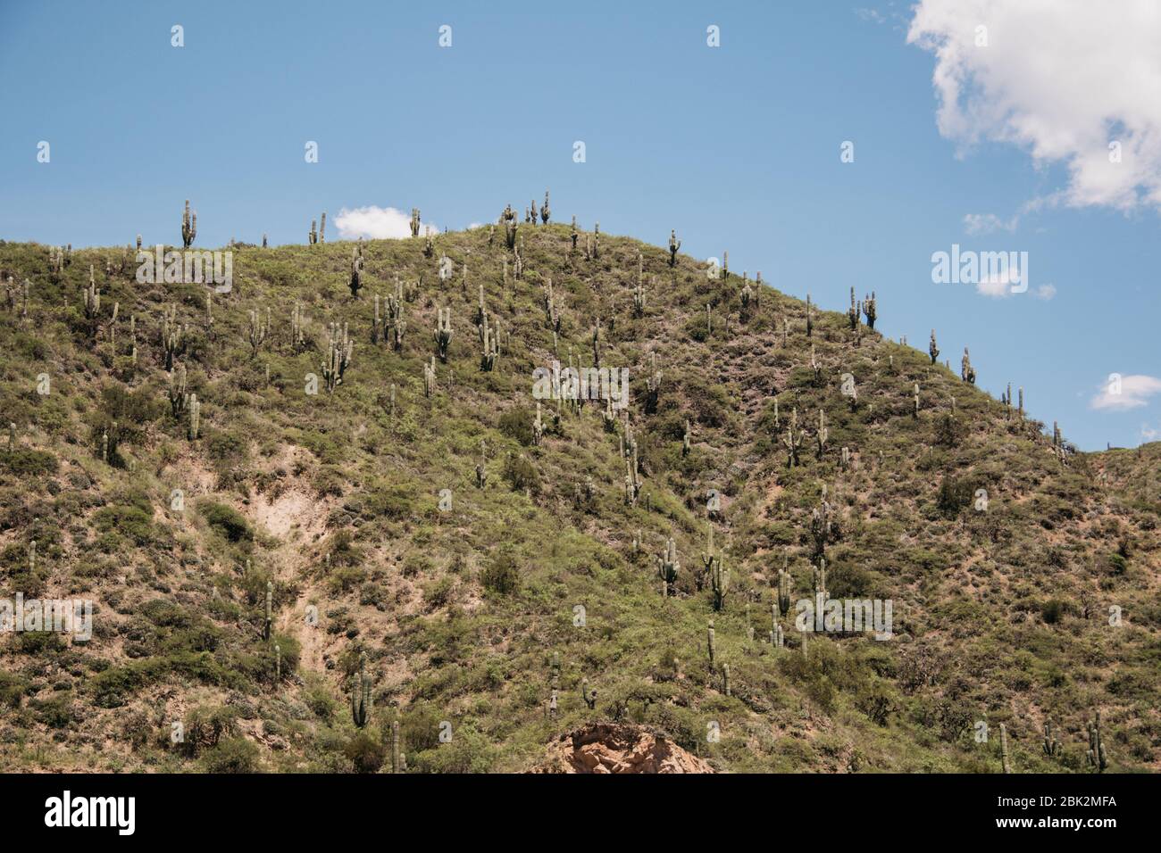 Beautiful Landscapes, on the way to Jujuy, Argentina Stock Photo