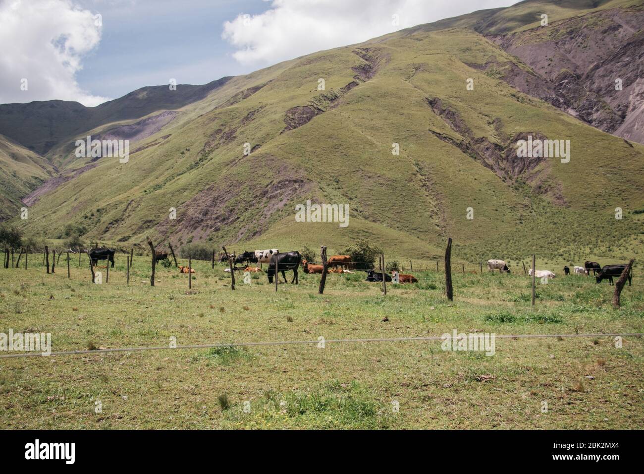 Beautiful Landscapes, on the way to Jujuy, Argentina Stock Photo