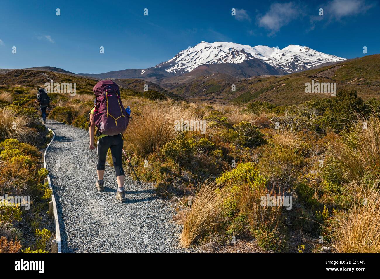 Mount Ruapehu, hikers on Tongariro Northern Circuit trail, Tongariro National Park, Manawatu-Wanganui Region, North Island, New Zealand Stock Photo