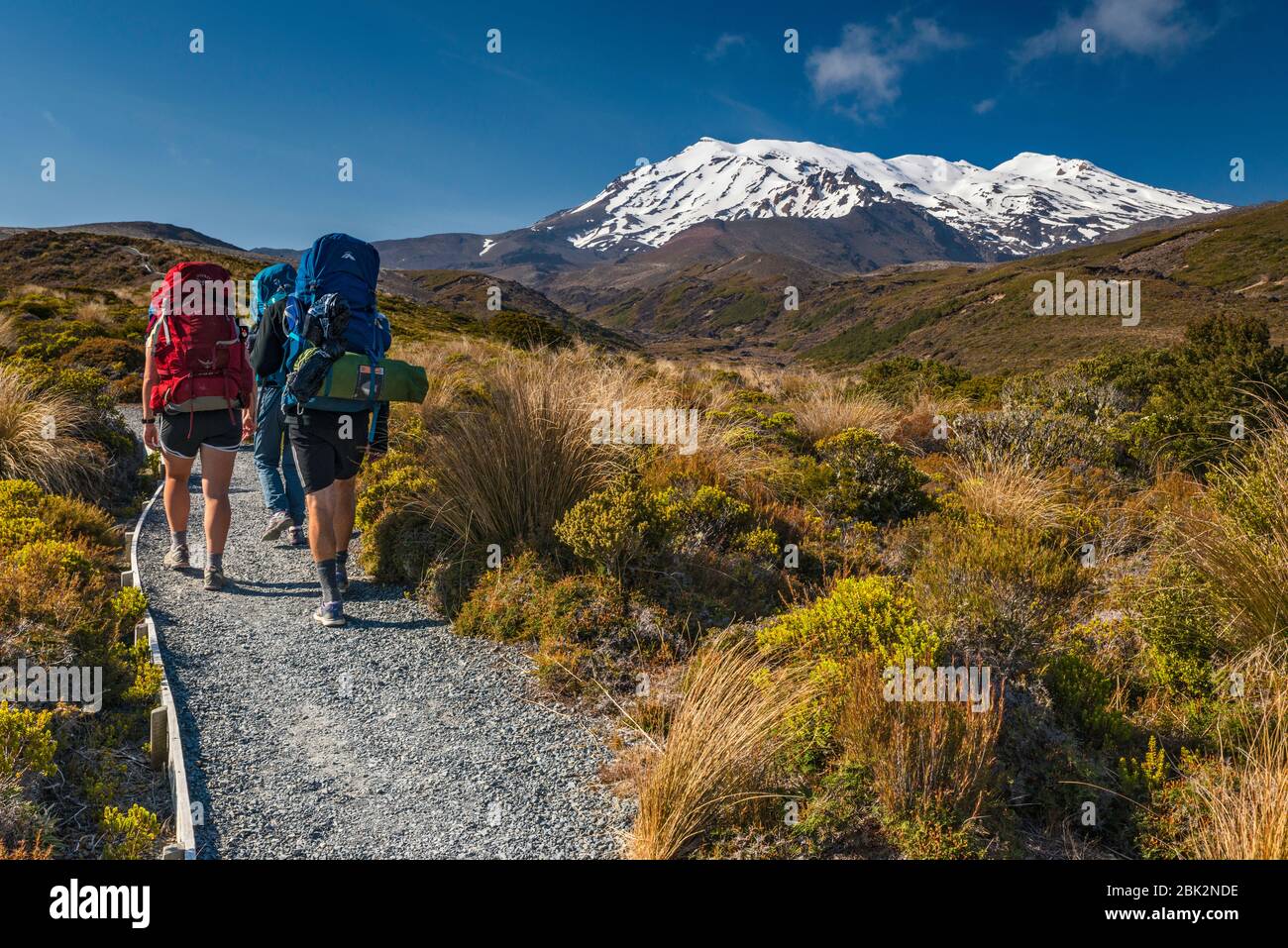 Mount Ruapehu, hikers on Tongariro Northern Circuit trail, Tongariro National Park, Manawatu-Wanganui Region, North Island, New Zealand Stock Photo