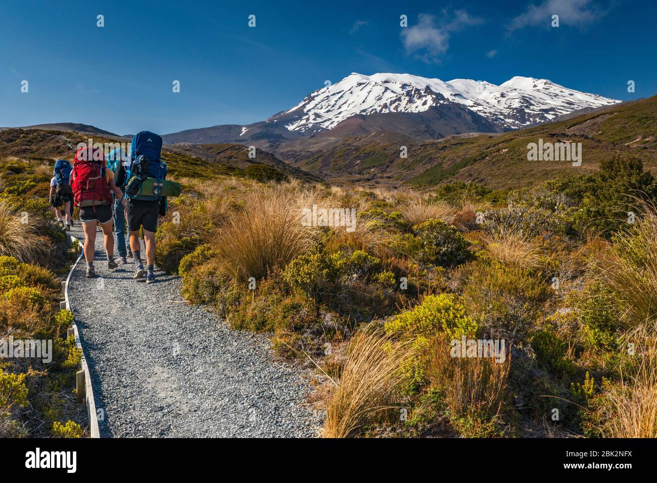 Mount Ruapehu, hikers on Tongariro Northern Circuit trail, Tongariro National Park, Manawatu-Wanganui Region, North Island, New Zealand Stock Photo