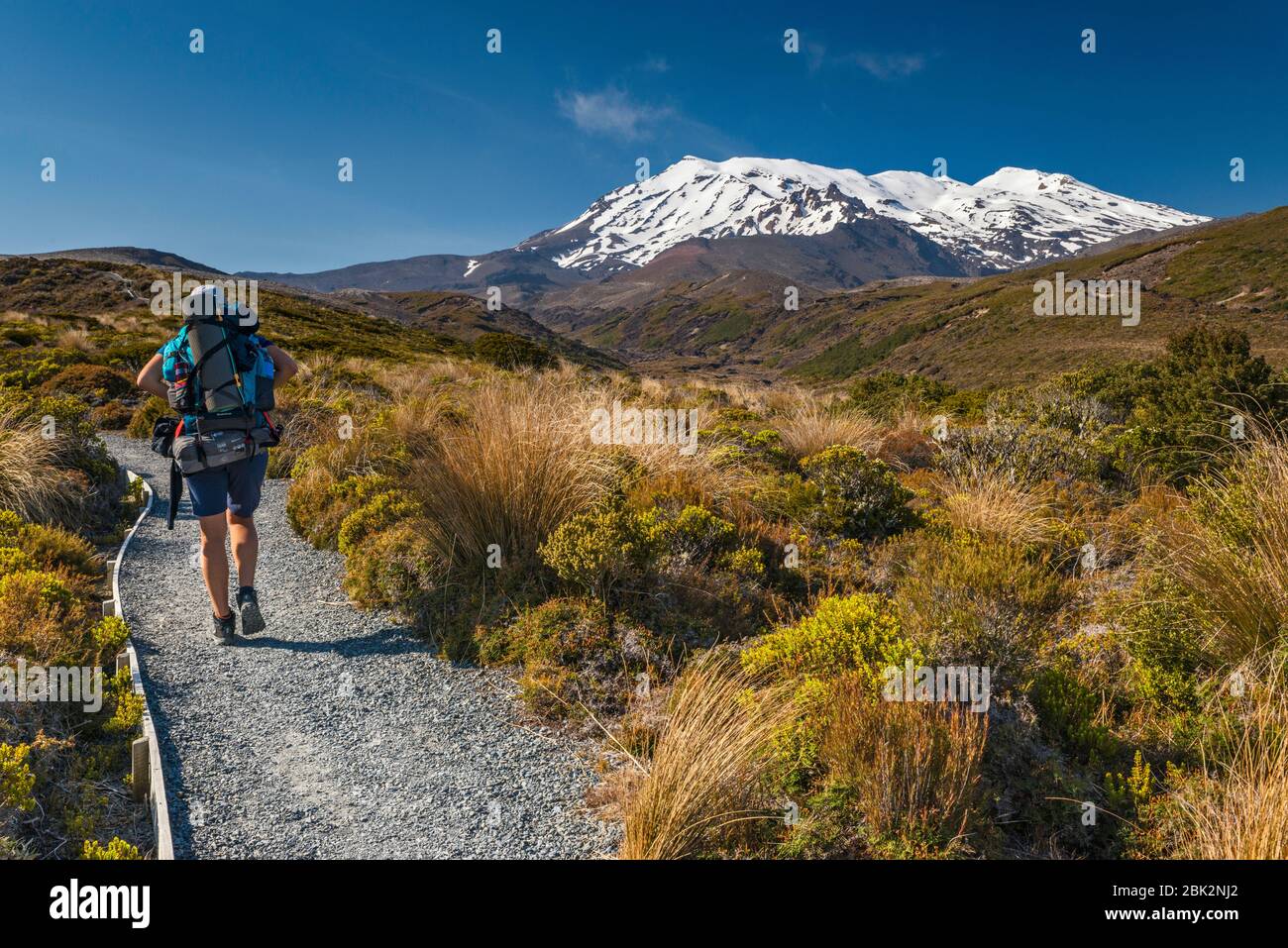 Mount Ruapehu, hiker on Tongariro Northern Circuit trail, Tongariro National Park, Manawatu-Wanganui Region, North Island, New Zealand Stock Photo