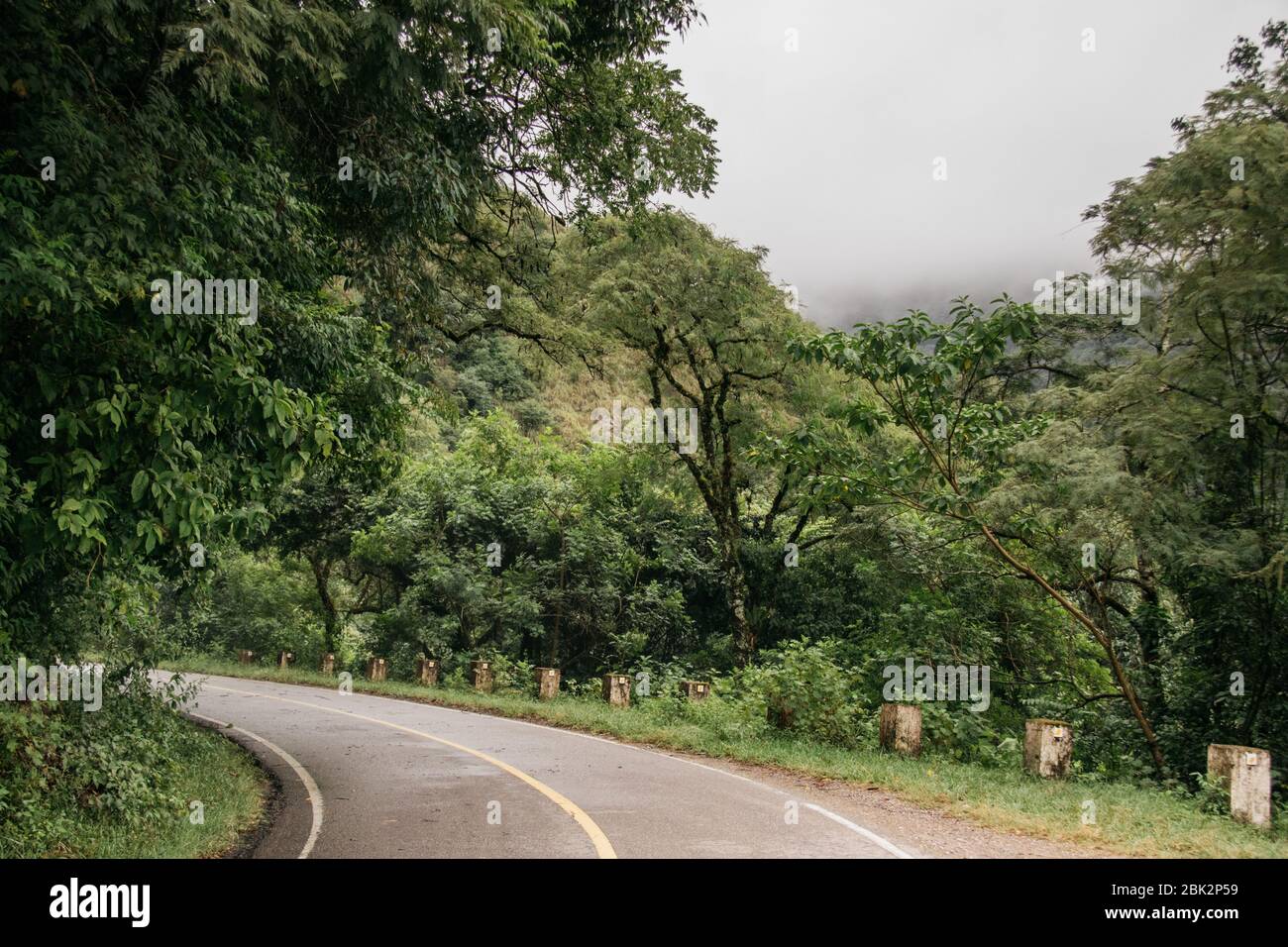 Green Landscapes, on the way to Jujuy, Argentina Stock Photo