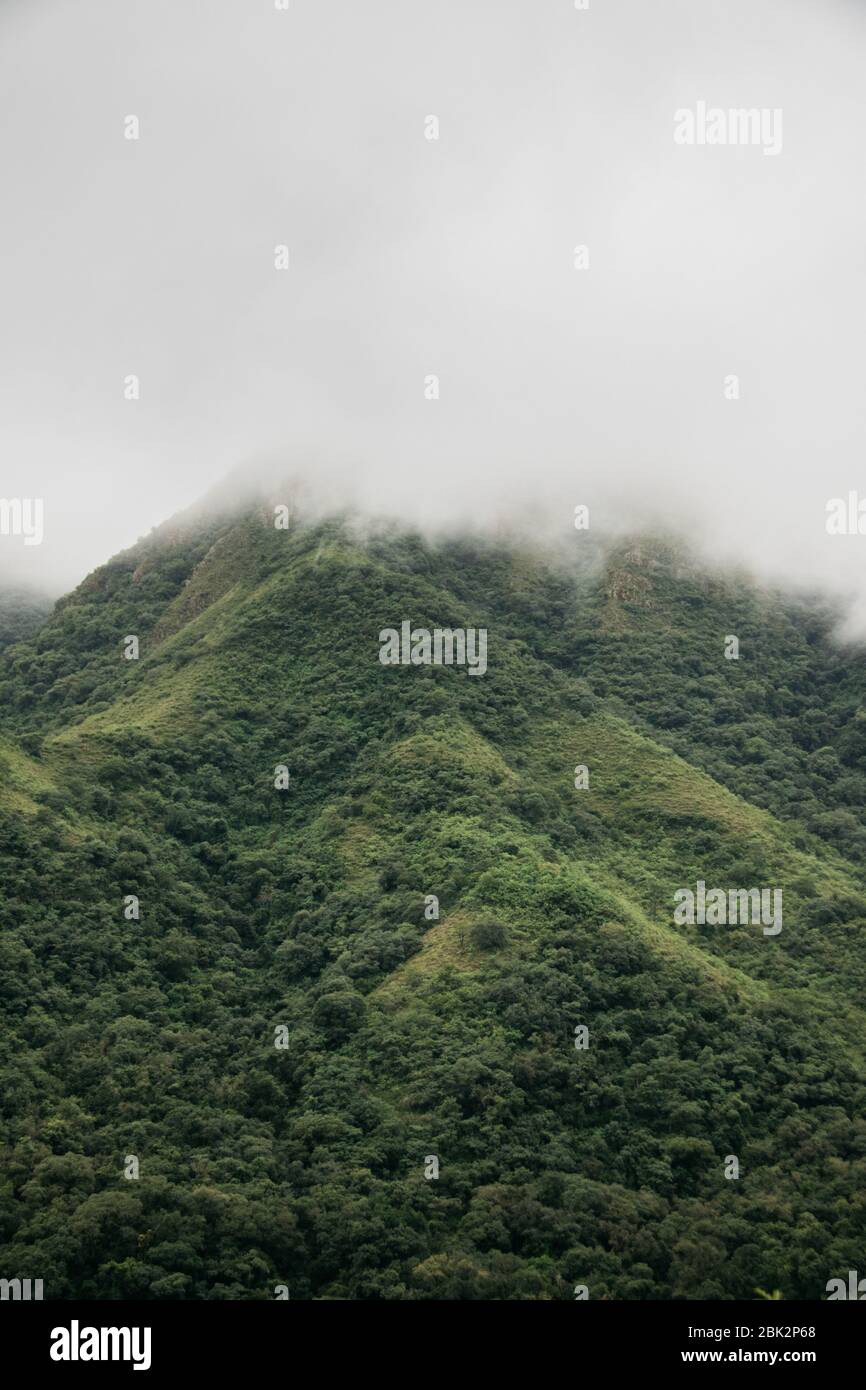 Green Landscapes, on the way to Jujuy, Argentina Stock Photo