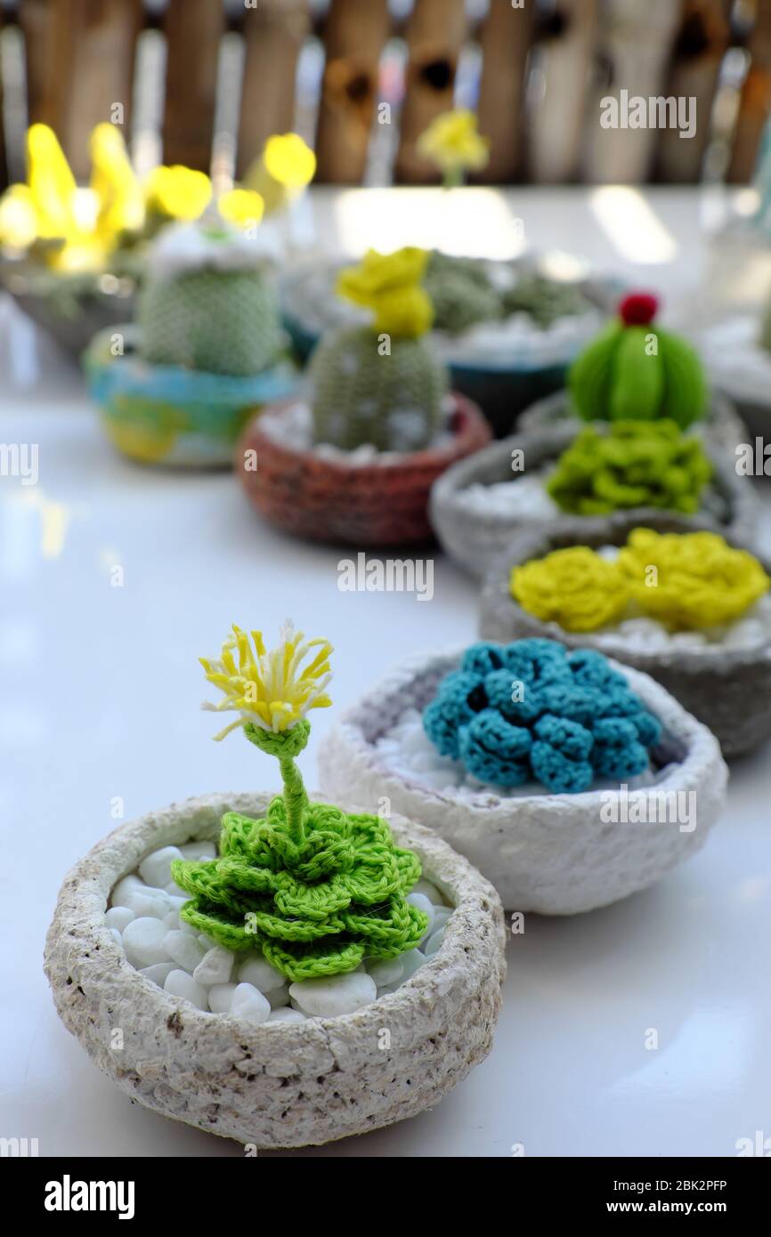Amazing homemade product for home decoration, group of succulent, cactus crochet from green yarn in cement pot on white background, handicraft plant f Stock Photo