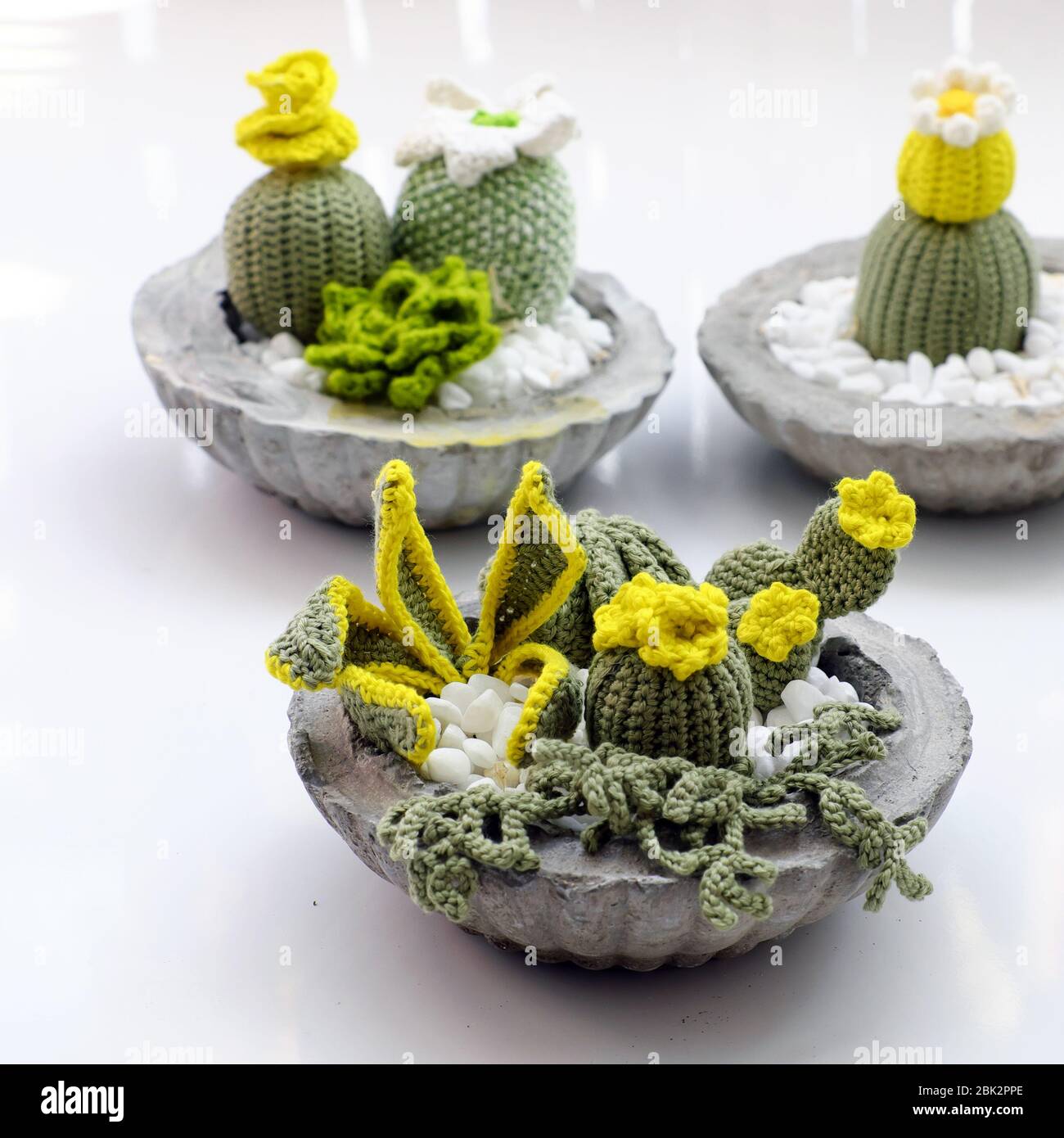 Amazing homemade product for home decoration, group of succulent, cactus crochet from green yarn in cement pot on white background, handicraft plant f Stock Photo