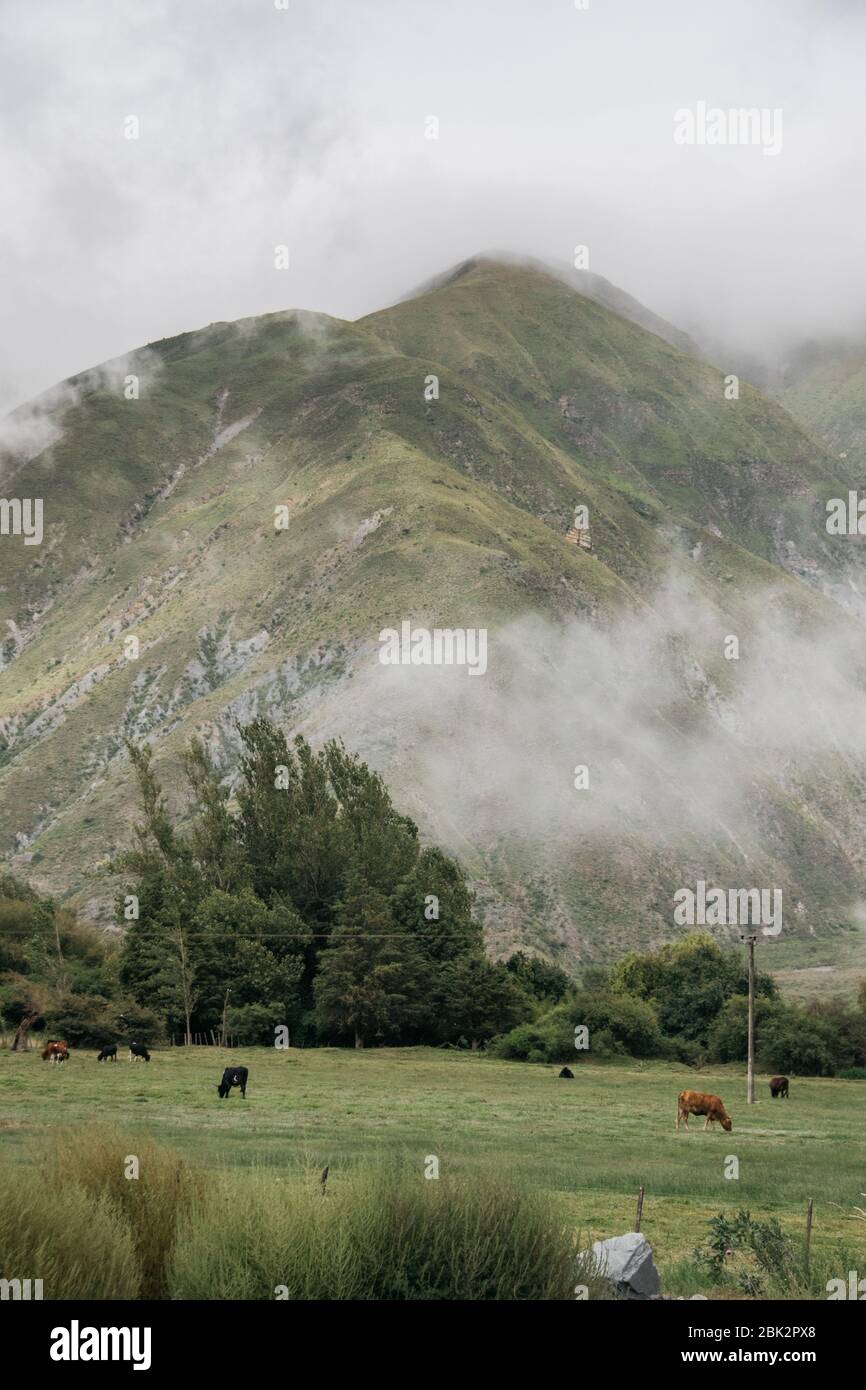 Green Landscapes, on the way to Jujuy, Argentina Stock Photo