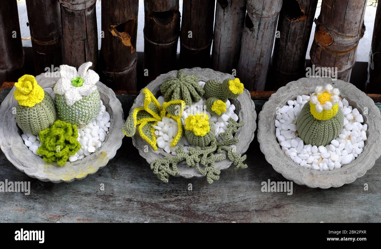 Amazing homemade product for home decoration, group of succulent, cactus crochet from green yarn in cement pot on black wooden background, handicraft Stock Photo