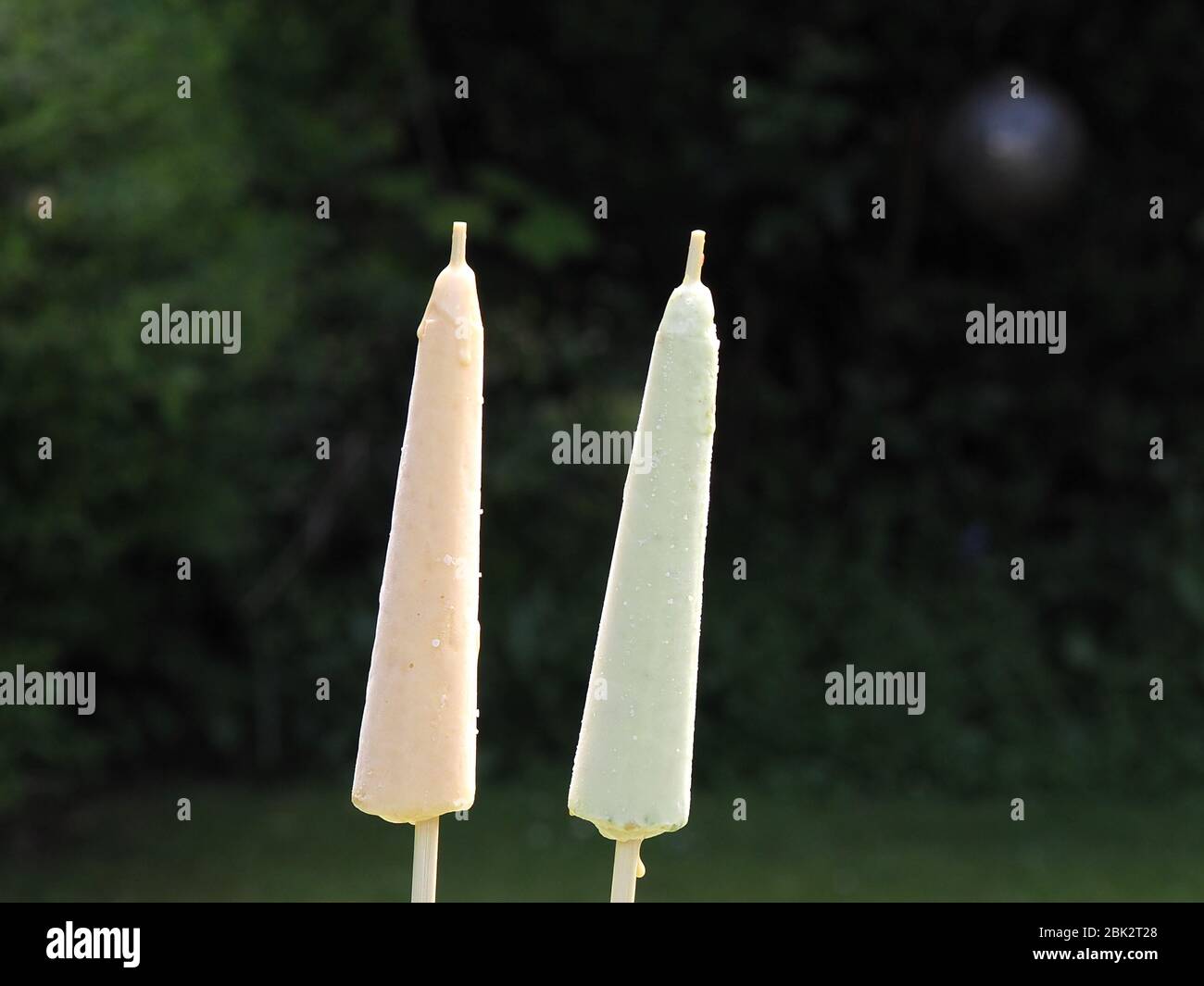 Two Isolated Kulfi Ice Creams Standing Side By Side In The Sunshine