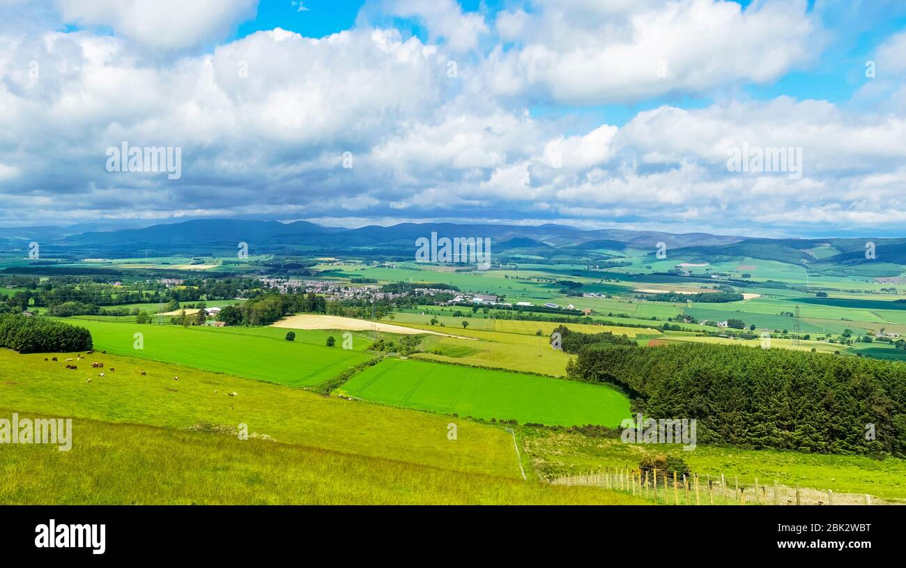 Panorama, Howe of the Mearnes and Angus Glens from Hill of Garvock