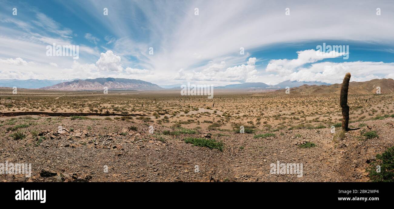 Parque Nacional de los cardones, Argentina Stock Photo