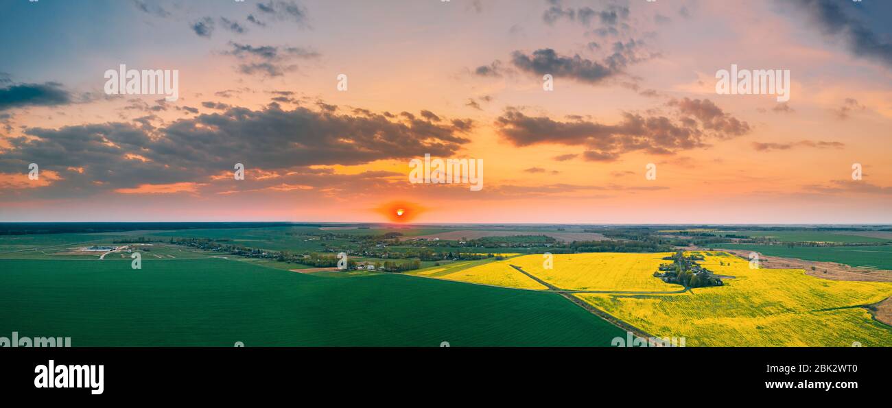 Aerial View Of Green Meadow And Field With Blooming Canola Yellow Flowers. Top View Of Blossom Plant, Rapeseed Meadow Grass Landscape At Sunset Sunris Stock Photo