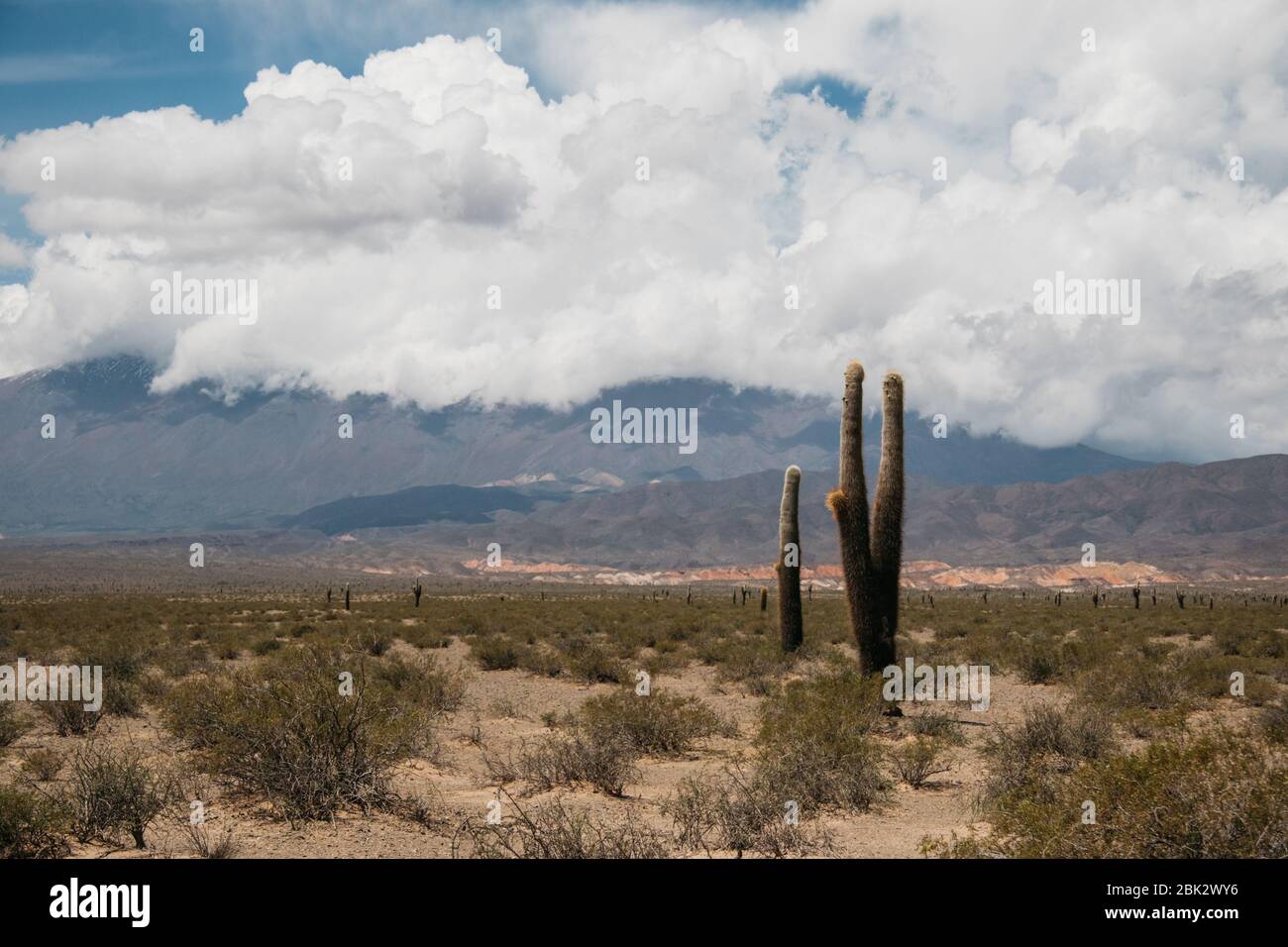 Parque Nacional de los cardones, Argentina Stock Photo