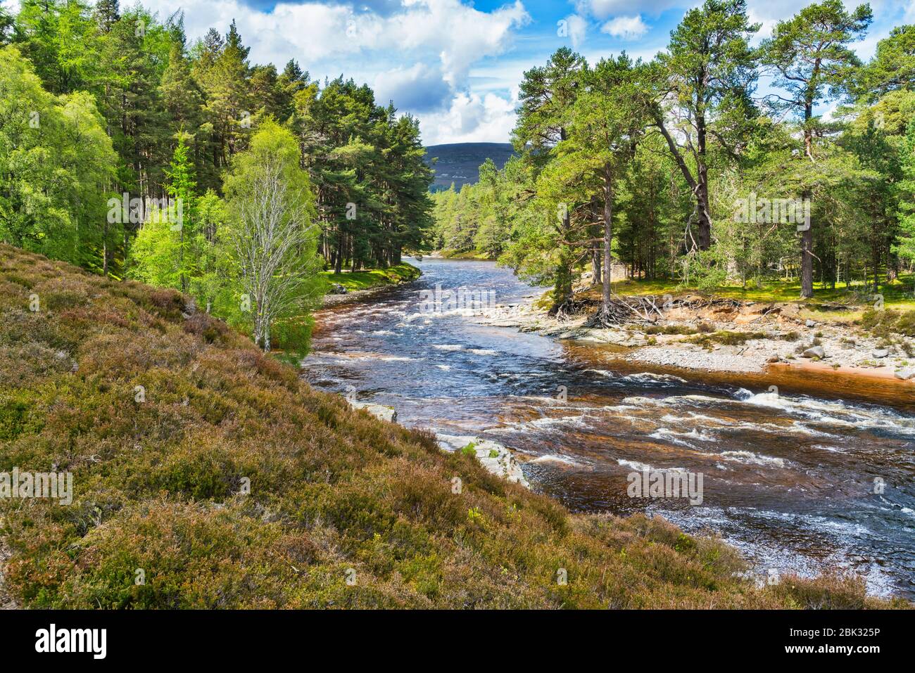 Linn Of Dee River Dee Braemar Summer Aberdeenshire Highland Region 