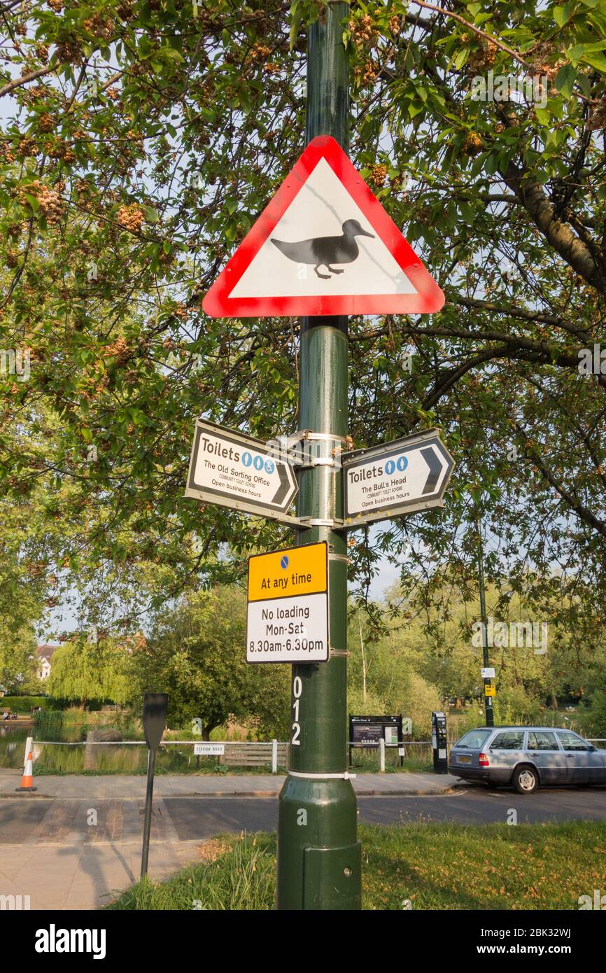 British Warning road sign - Ducks crossing the road Stock Photo