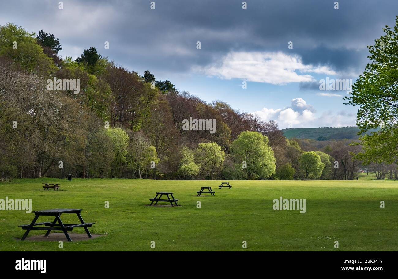 Deserted landscape during lockdown. Empty parkland and picnic tables at Allensford Country Park Near Consett in County Durham North East England. Stock Photo